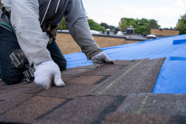 Best Commercial Roofing Services  in Edwards, MS