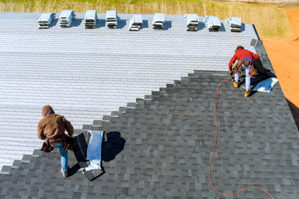 Best Metal Roofing Contractor  in Edwards, MS